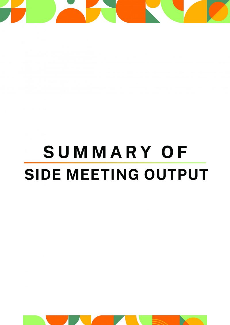 AAAH PMAC Side Meeting 2025 Report